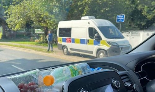 'Hero' praised for blocking mobile speed camera but others say he's 'disgusting'