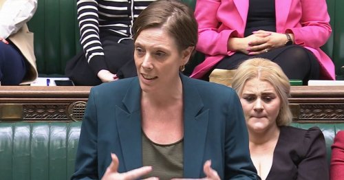 'Shame on Keir Starmer and Jess Phillips for trying to protect rapist animals'