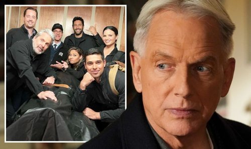 NCIS fans fear Gibbs death as CBS star drops crossover 'bodybag' clue