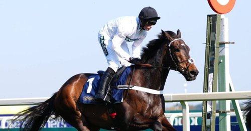 Constitution Hill scratched from Gold Cup at Royal Ascot to 'have a holiday'
