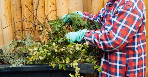 Gardens will be 'greener' if Brits follow two-word advice