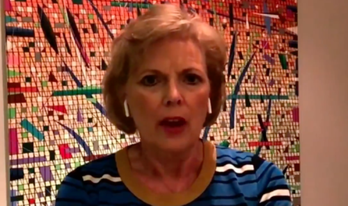 Anna Soubry brands Conservatives the Brexit Party – accuses ‘Trumpian-type style’