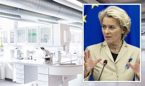 Brexit fury: Scientist ditches UK and moves entire lab to Netherlands as EU pulls funds
