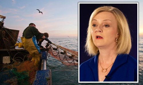 'EU hammering our waters!' Fishing fury erupts as Liz Truss nears PM dream