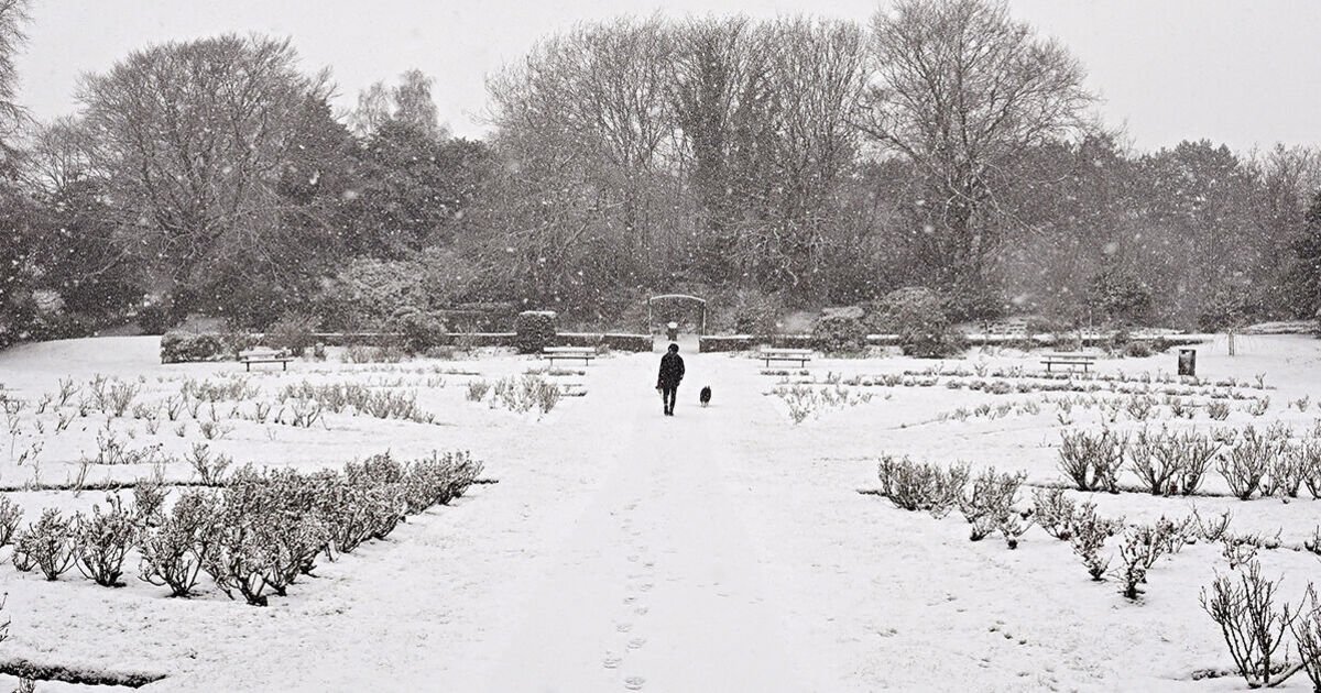 Snow maps show 712-mile beast from the east blast with brutal -4C to hit UK