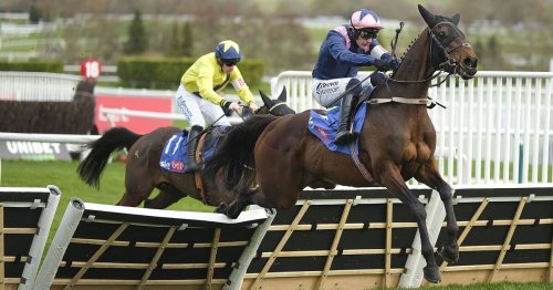 Punchestown Festival tips with 11/1 shot as day one runners and riders confirmed
