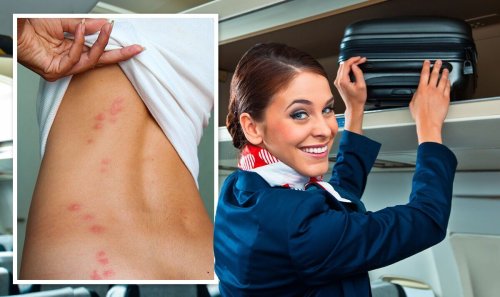 'All your stuff is separate' Flight attendant shares how to keep bedbugs out of luggage