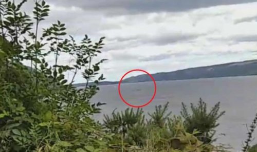 Loch Ness Monster sighting: 25 foot creature spotted in the Loch Ness