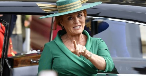 Sarah Ferguson offered to 'help' with PPE during early Covid lockdown - inquiry