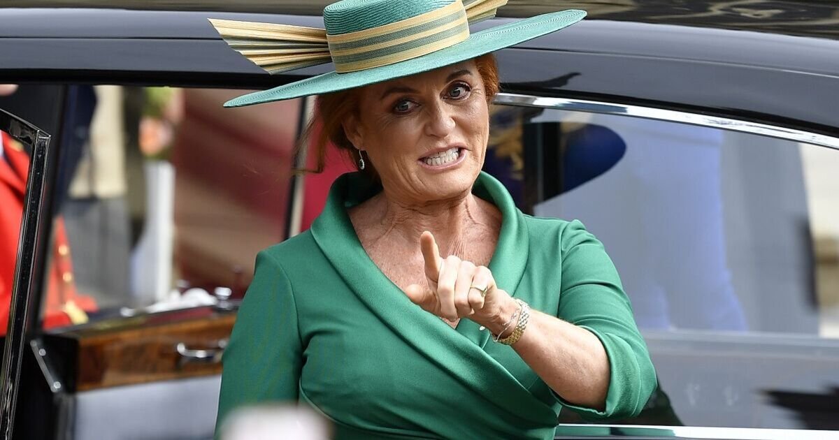 Sarah Ferguson offered to 'help' with PPE during early Covid lockdown - inquiry