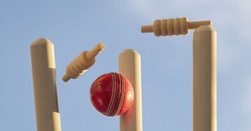 Cricket clubs told to stop using plastic balls that could pose health risk