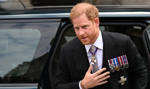 Harry criticised for claim royals marry who 'fits mould'