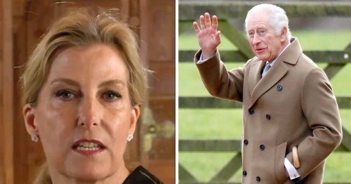 Duchess Sophie's sweet nod to King Charles in new video message