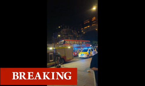 King's Cross St Pancras evacuation: Police and fire services surround London station
