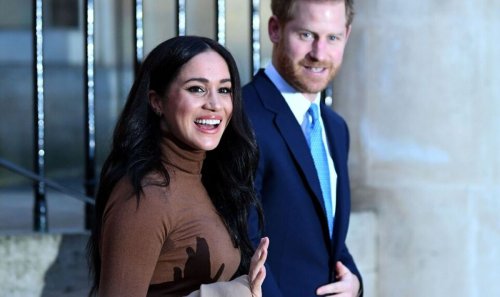 Prince Harry shot himself and Meghan in foot over titles removal