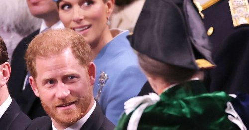 Anne going on royal tour just days before Harry's UK visit - but they could meet