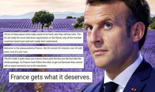 'France gets what it deserves for Macron's arrogance' Britons rage at bizarre lavender ban