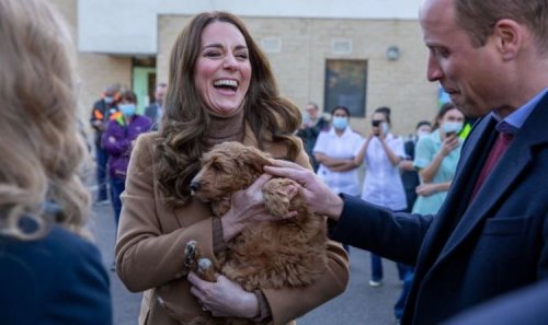 Kate jokes about puppy jealousy on thank you visit to NHS staff