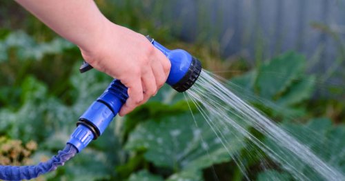 Households told not to water lawn or garden on Saturday, Sunday or Monday