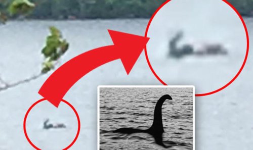 Tourists snap ‘new picture of Loch Ness Monster’