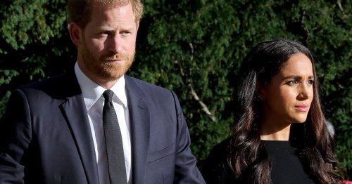 Harry and Meghan to 'seek forgiveness' from Kate and William for 'one reason'