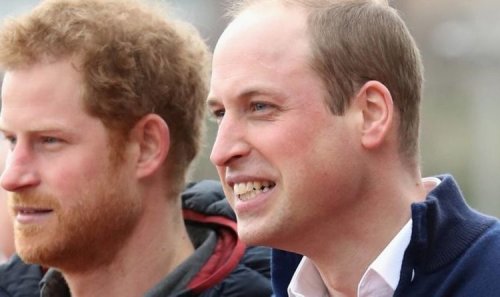 Prince Harry and William reunion chance emerges as royals could fight royal satire cartoon