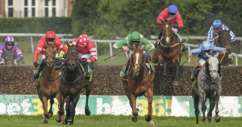 Dancing City dies after horse suffers horror fall at Sandown