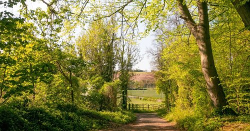 You can get to this quaint village near London for just £5 in less than an hour