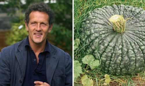 Monty Don shares how to plant 'absolutely delicious' vegetable - 'the best thing to do'