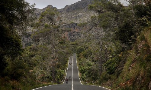 Horror as British cyclist hit by lorry and sent 30ft down embankment in Majorca