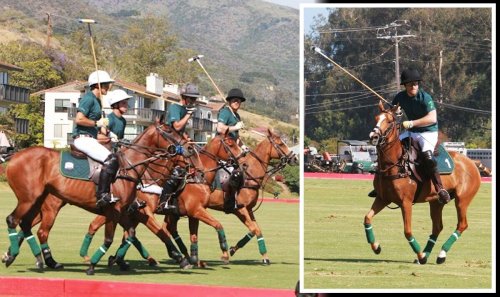 Harry spotted playing polo in Cali sunshine - while William sent on delicate Queen mission