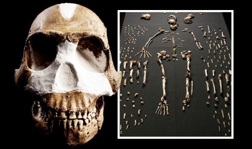 Archaeologists stunned on discovering 'totally new species' of human in African cave