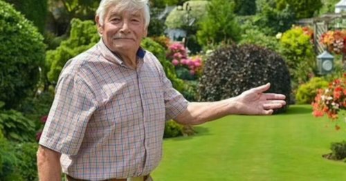 'I'm winner of Britain's best lawn - here's my easy method to eliminate moss'