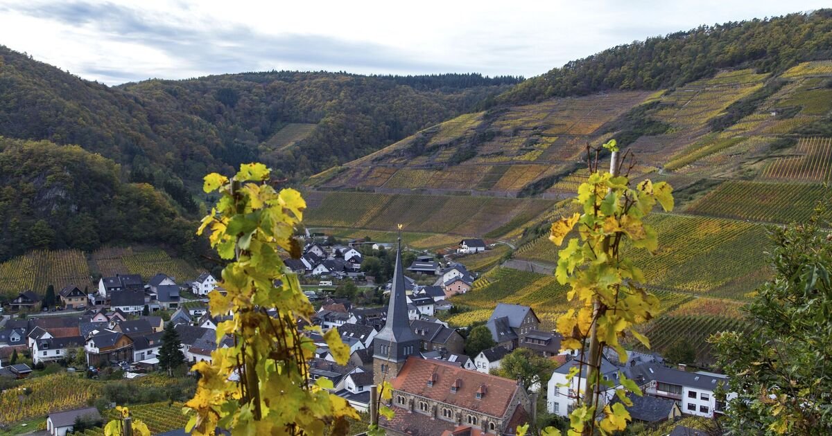 The best place in the world to visit in 2025 is just 2.5 hours from the
