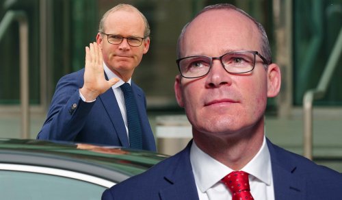 Fury of FG backbench with Coveney could see him axed from Cabinet
