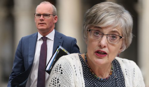 Coveney Mandarins Didn't Want 'Princess Pushy' To Get UN Job