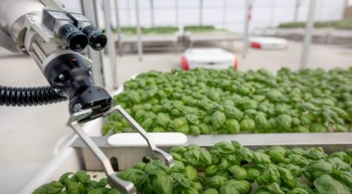 This California Greenhouse is Run by Robots