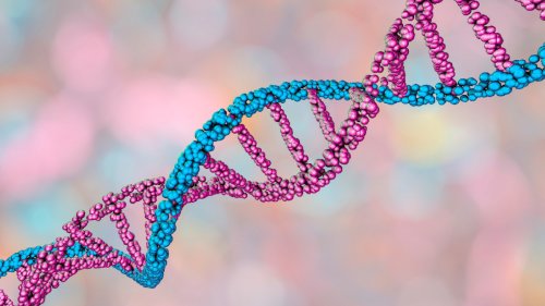 What Does DNA Stand For, and How Does It Work?