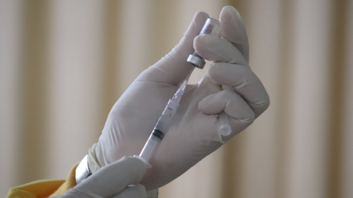 World Health Organization Endorses New Malaria Vaccine