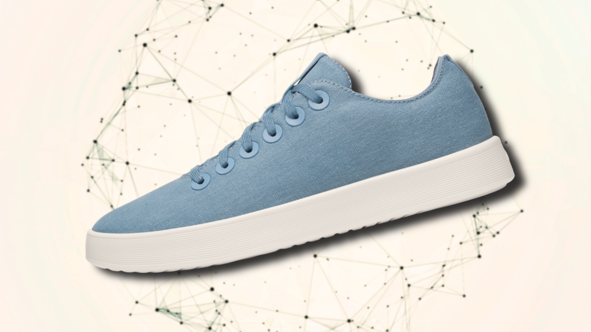 'Successful' Allbirds Pivot Heralds a Crypto-Like Future for AI