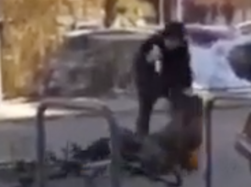 Video eines Zeugen aufgetaucht: Armenier stach 50-mal auf Radfahrerin ein!