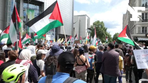 Paris: Jean-Luc Mélenchon, drapeaux palestiniens...Les images de la marche «contre l'islamophobie» et en hommage à Aboubakar Cissé