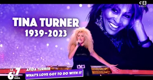 Les internautes réagissent à l'hommage d'Afida Turner à Tina Turner dans «TPMP»