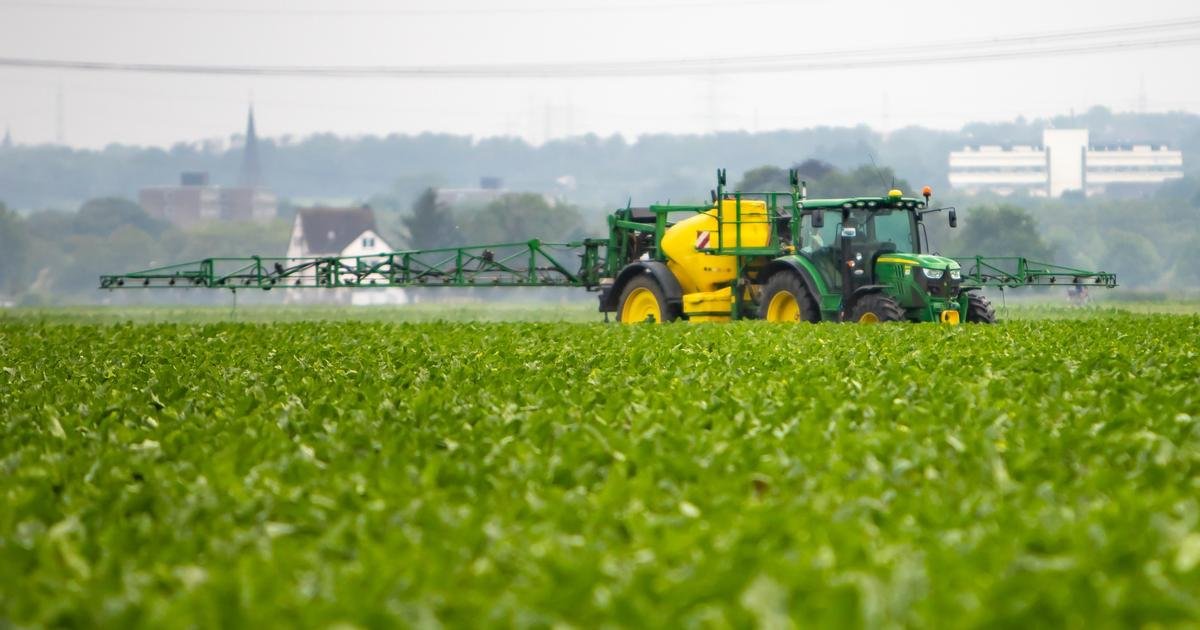 Acétamipride : quelle législation en Europe pour ce pesticide interdit en France ?