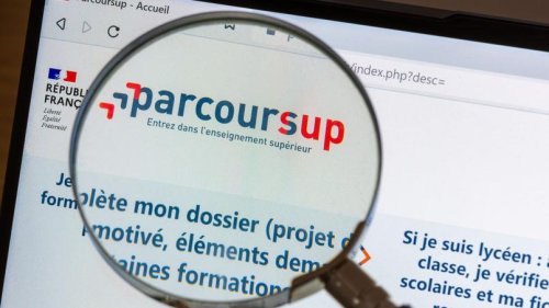 Parcoursup: Comment Remplir Parfaitement Son Dossier | Flipboard