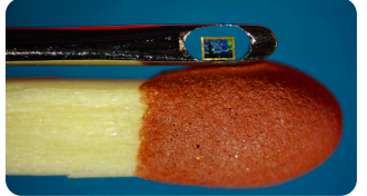 Micro-art: des minuscules chefs-d'œuvre vendus plus de 105.000 euros