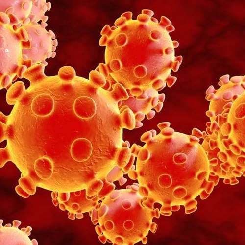 COVID-19 Surges Among Unvaccinated in Florida, Contrary to Baseless Claims