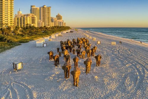 16 Hours in Miami: A Concise Art Basel Experience