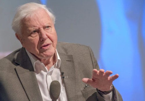 Sir David Attenborough warns that G7 leaders fact some of the most important decisions in human history