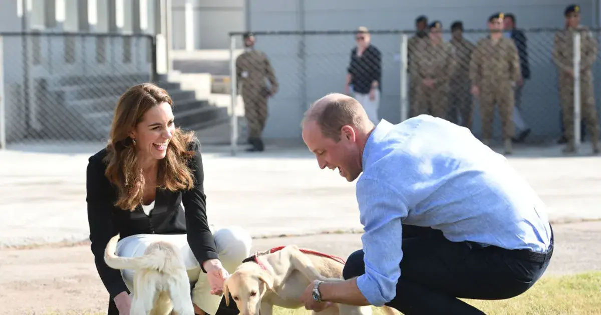 Prince William And Kate Middleton Mourn The Passing Of Family Dog Lupo - Fame10